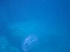 P069-354-256-376-10087