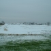 dscf0031-150x150.jpg